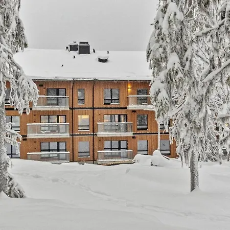 C23 Ski-in Ski-out By Aavalevi *