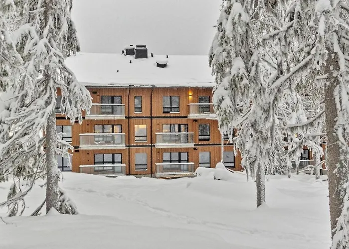 C23 Ski-in Ski-out By Aavalevi *