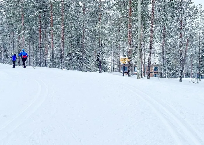 Lägenhet C23 Ski-in Ski-out By Aavalevi *